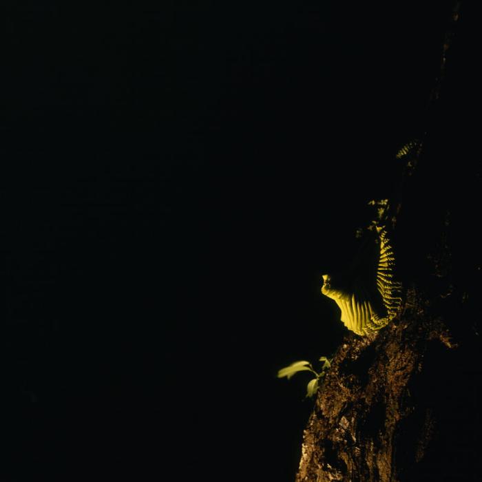 004-lowres.jpg