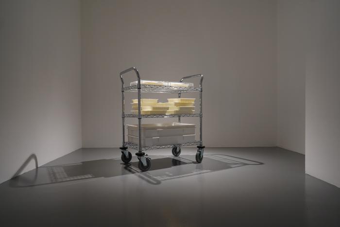 1x1x1,_FOST_Gallery,_Installation_View,_Image_Courtesy_of_FOST_Gallery_20_HR.jpg