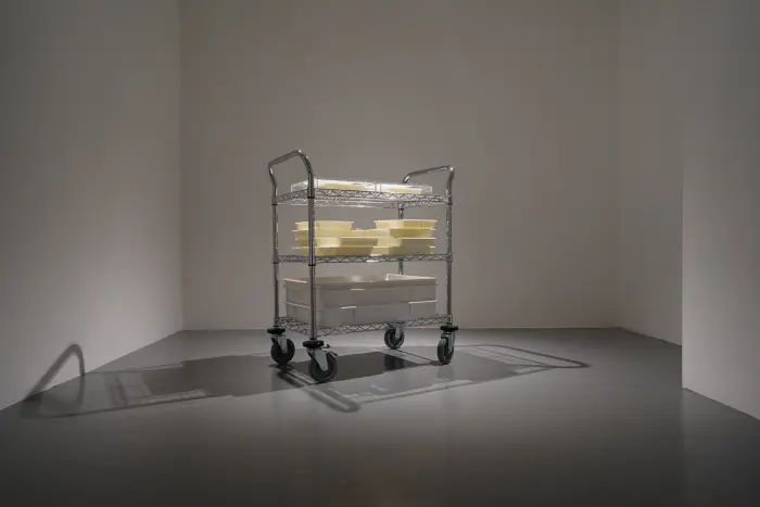 1x1x1,_FOST_Gallery,_Installation_View,_Image_Courtesy_of_FOST_Gallery_20_HR.jpg