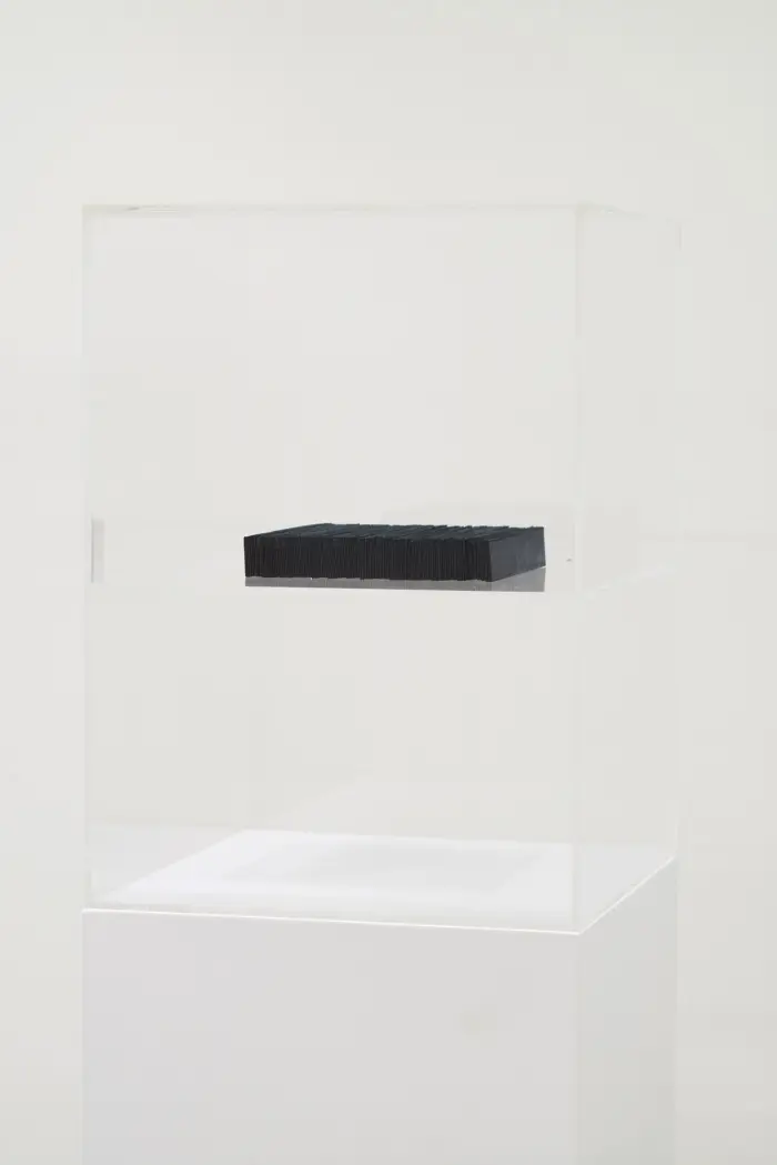 n.317_view1_MAR5_120dpi2_.jpg