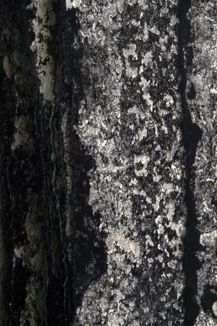 n.328_view3_MAR10_120dpi2_.jpg
